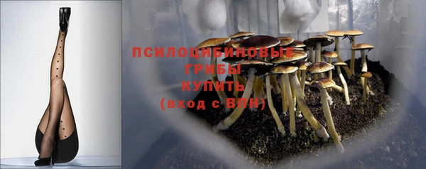 первитин Лабытнанги