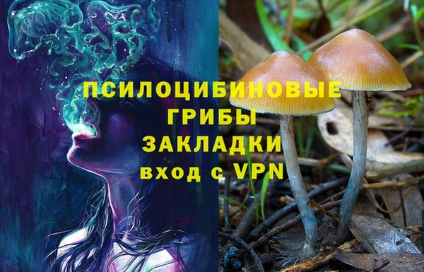 первитин Лабытнанги