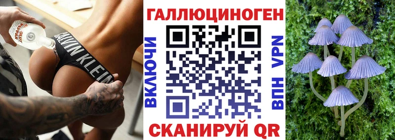Псилоцибиновые грибы Psilocybe  наркота  Суворов 